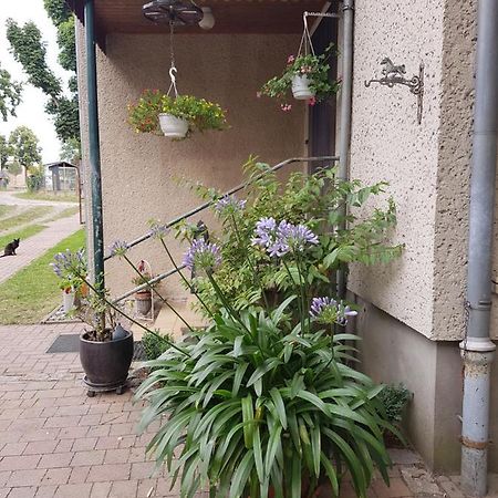Ferienwohnung Siebmann Neuruppin Ngoại thất bức ảnh