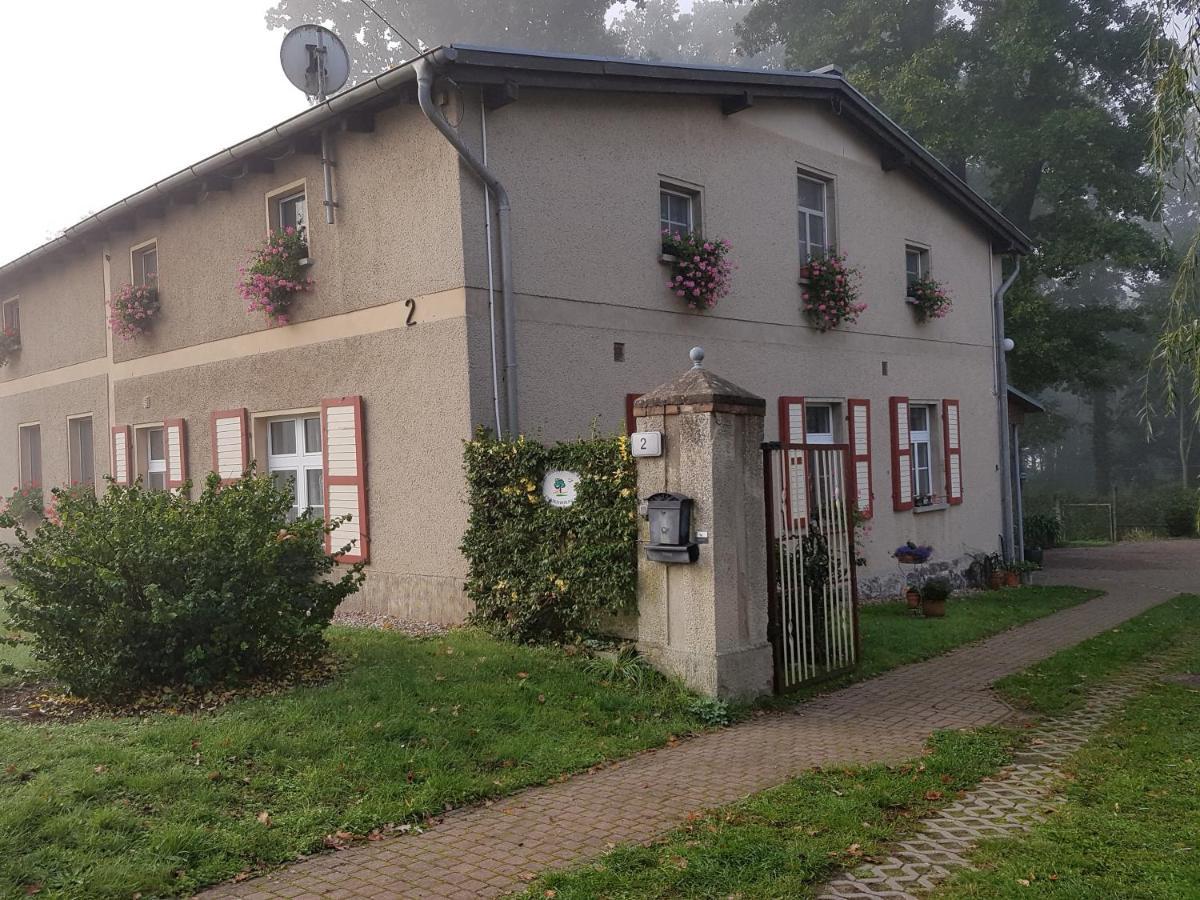 Ferienwohnung Siebmann Neuruppin Ngoại thất bức ảnh
